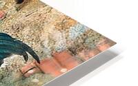 2324 HD Metal print