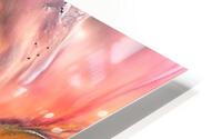 2362 HD Metal print