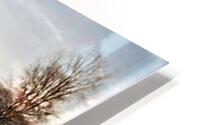2363 HD Metal print