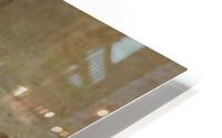 2368 HD Metal print