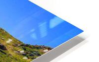 2369 HD Metal print
