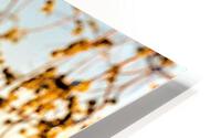 2376 HD Metal print