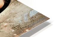 2380 HD Metal print