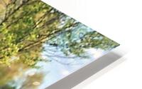 2391 HD Metal print
