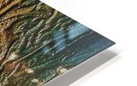 2393 HD Metal print