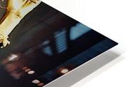 2395 HD Metal print