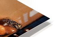 2402 HD Metal print