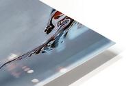 2406 HD Metal print