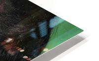 2407 HD Metal print