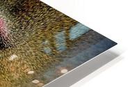 2417 HD Metal print
