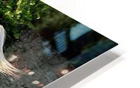 2420 HD Metal print