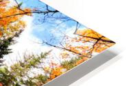 2430 HD Metal print