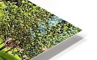 2434 HD Metal print