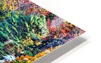 2447 HD Metal print