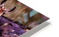 2453 HD Metal print