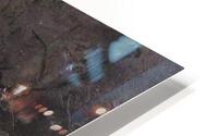 2459 HD Metal print