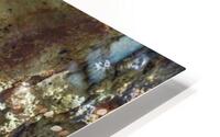 2489 HD Metal print