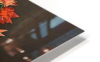 2500 HD Metal print