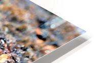 2504 HD Metal print