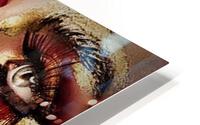 2505 HD Metal print