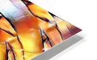 2507 HD Metal print