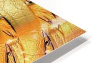 2522 HD Metal print