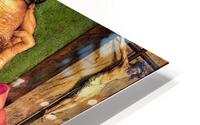 2542 HD Metal print