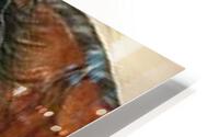 2545 HD Metal print