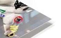 2560 HD Metal print