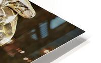2587 HD Metal print