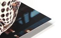 2622 HD Metal print