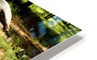 2646 HD Metal print