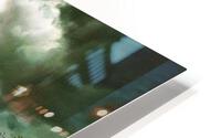 2657 HD Metal print