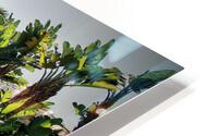 2661 HD Metal print