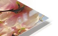 2675 HD Metal print