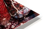 2677 HD Metal print