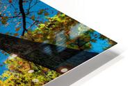 2678 HD Metal print