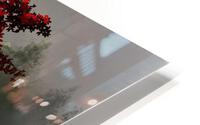 2685 HD Metal print