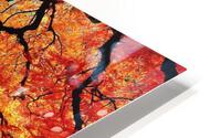 2696 HD Metal print