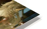 2699 HD Metal print