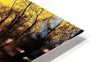2721 HD Metal print