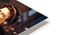 2735 HD Metal print
