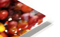 2757 HD Metal print