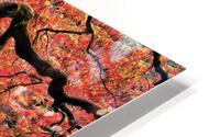 2769 HD Metal print
