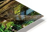 2773 HD Metal print