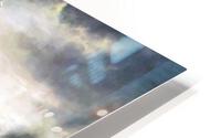 2790 HD Metal print