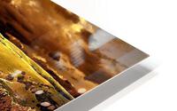 2818 HD Metal print