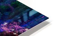 2826 HD Metal print