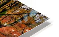 2831 HD Metal print
