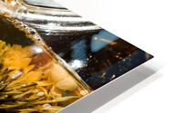 2844 HD Metal print